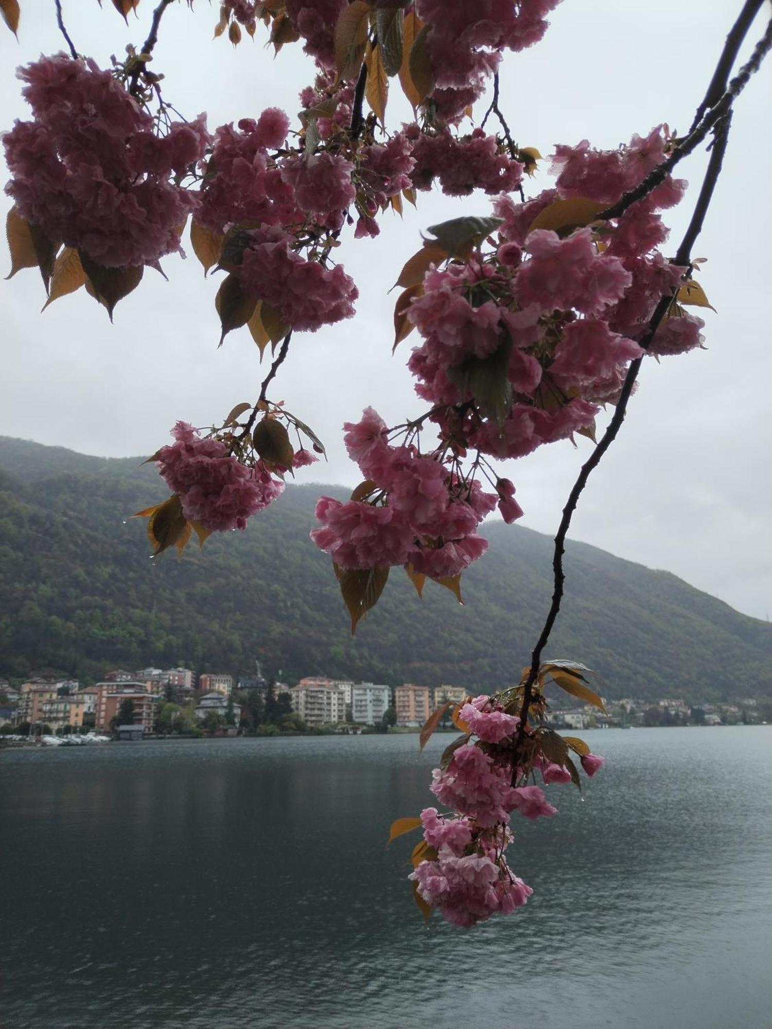 Un Balcone Sul Lago Оменья Екстер'єр фото